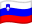 Slovenia flag